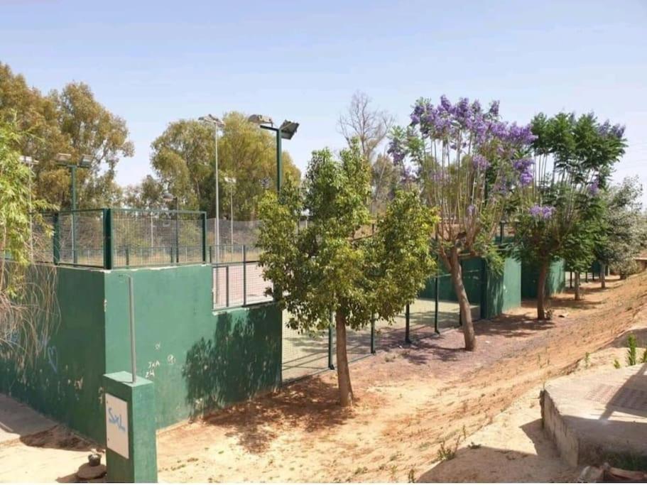 Alojamiento Con Piscina Y Parking En Sevilla La Algaba エクステリア 写真